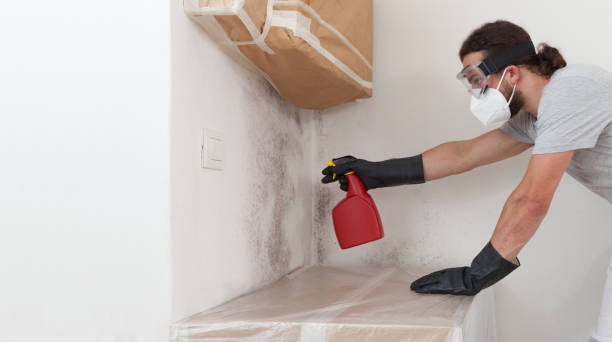 Attic Mold Remediation treatment on roof deck in Lewisville